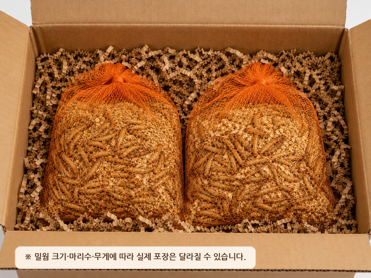 밀웜 배송 포장 예시