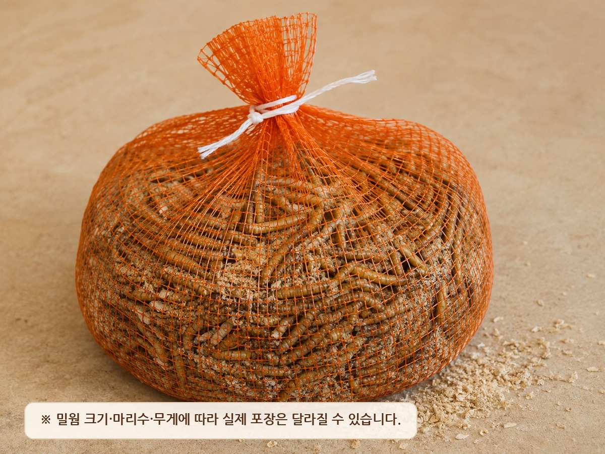 생물 상품 양파망 포장 예시